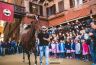 Palio Straordinario: la fotogallery della seconda prova